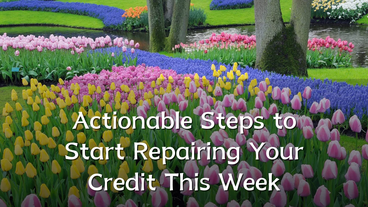 Actionable Steps to Start Repairing Your Credit This Week