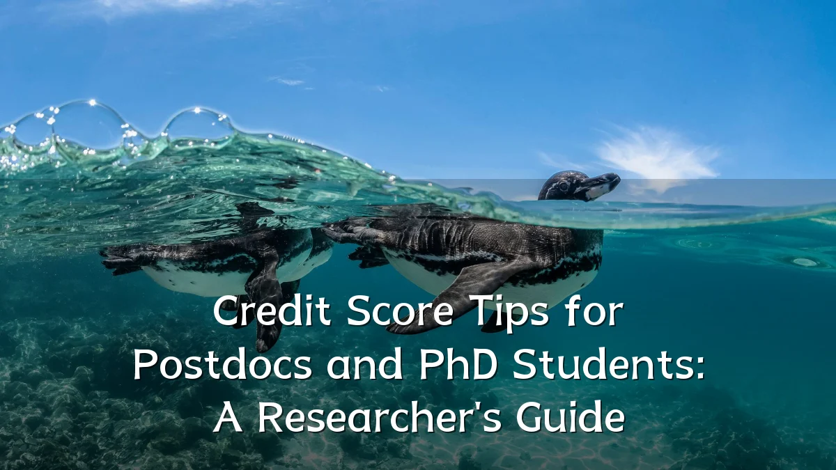 Credit Score Tips for Postdocs and PhD Students: A Researcher's Guide