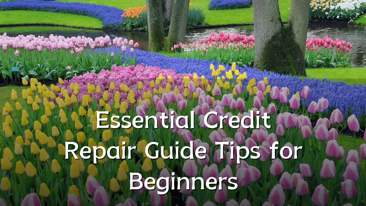 Essential Credit Repair Guide Tips for Beginners