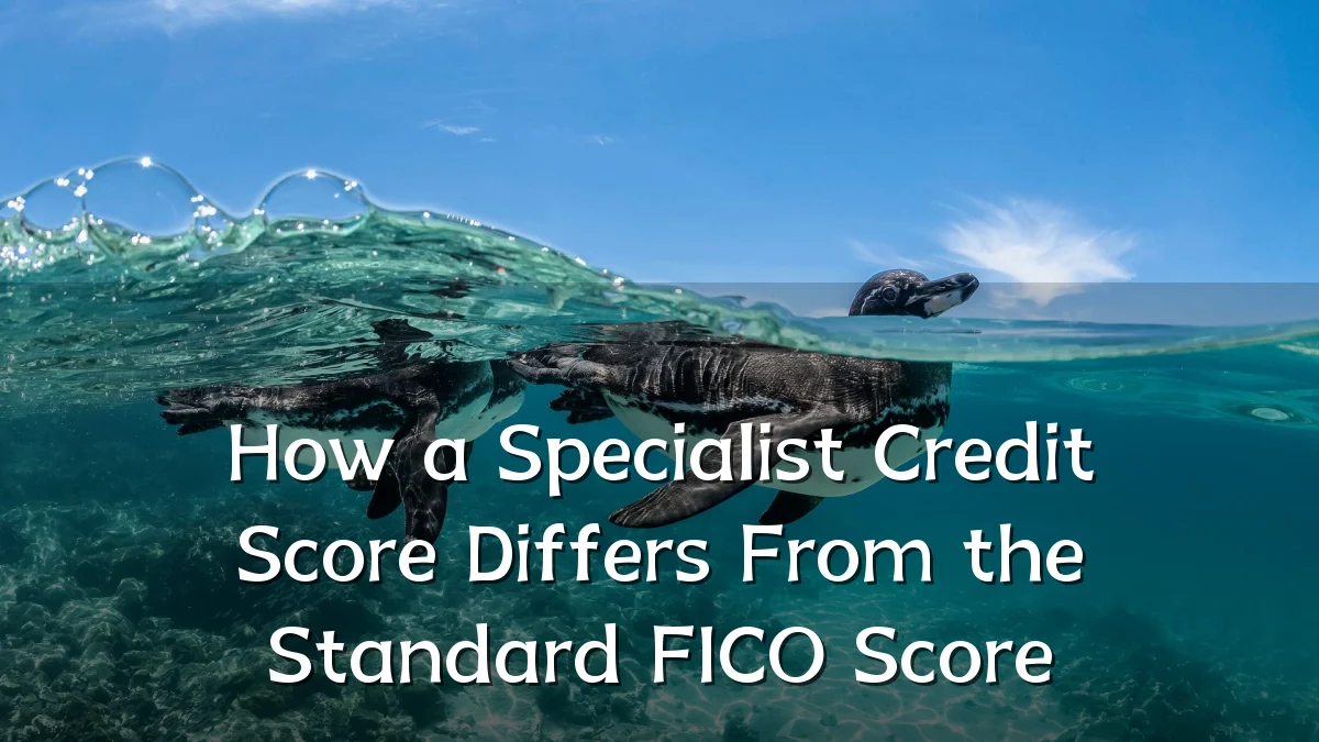How a Specialist Credit Score Differs From the Standard FICO Score