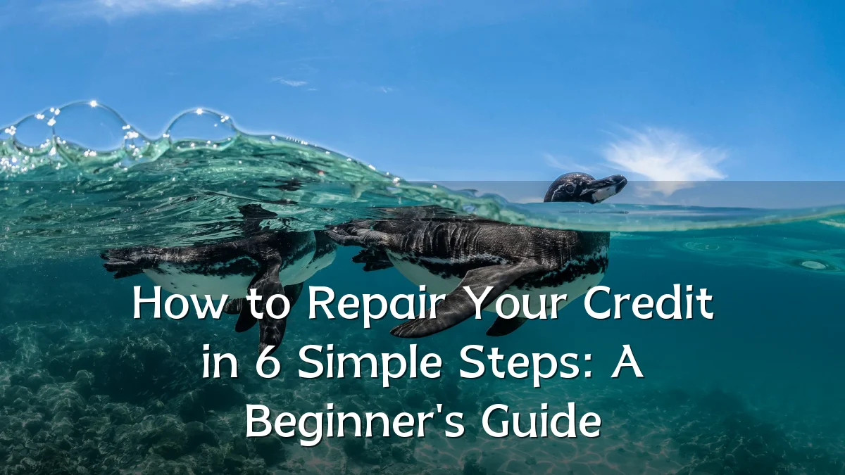 How to Repair Your Credit in 6 Simple Steps: A Beginner's Guide