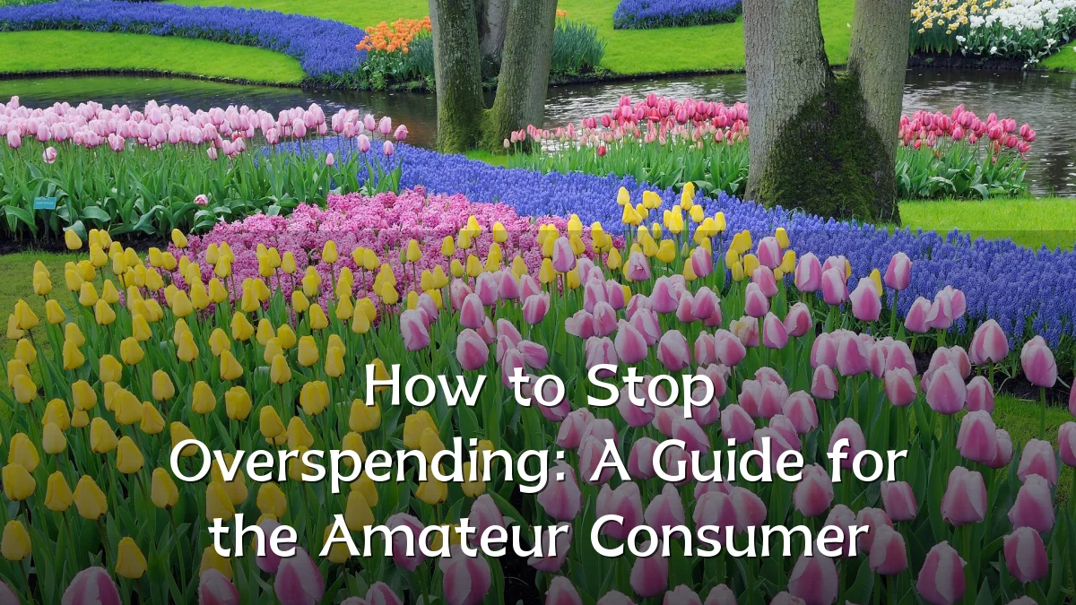 How to Stop Overspending: A Guide for the Amateur Consumer