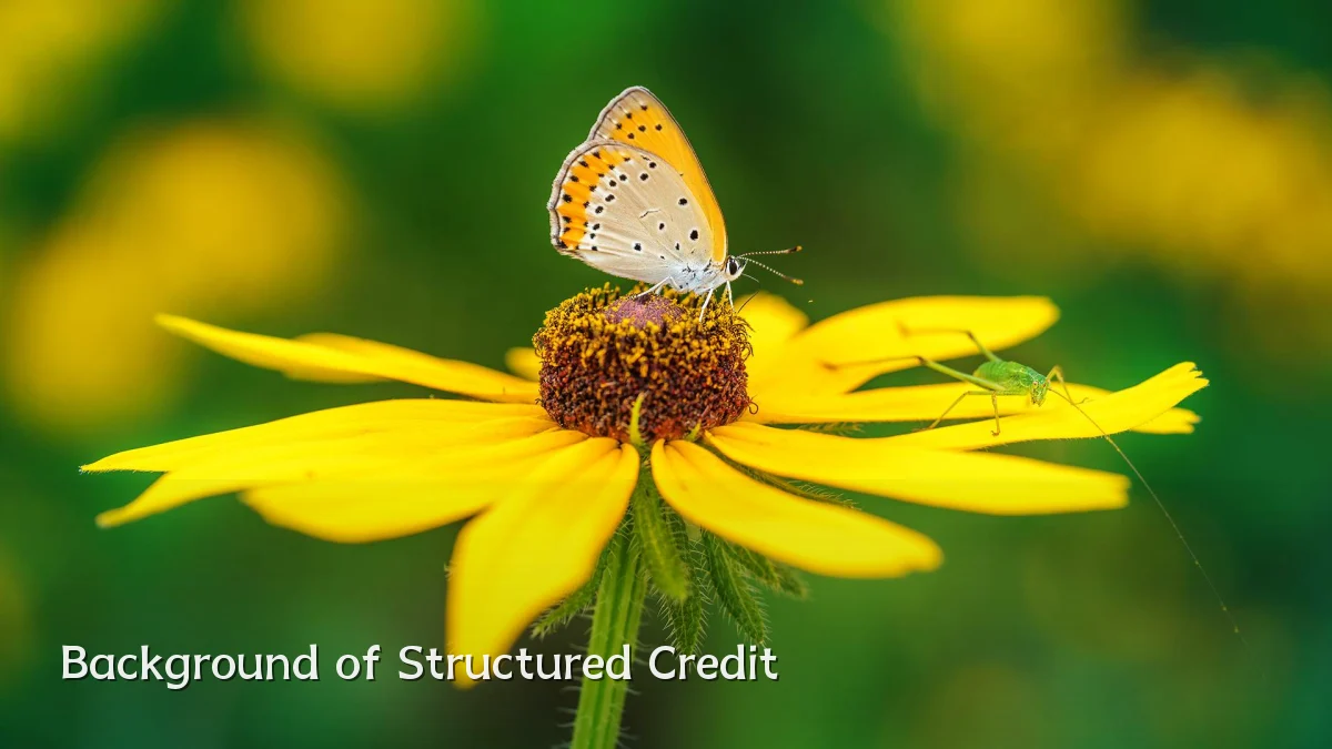 Background of Structured Credit