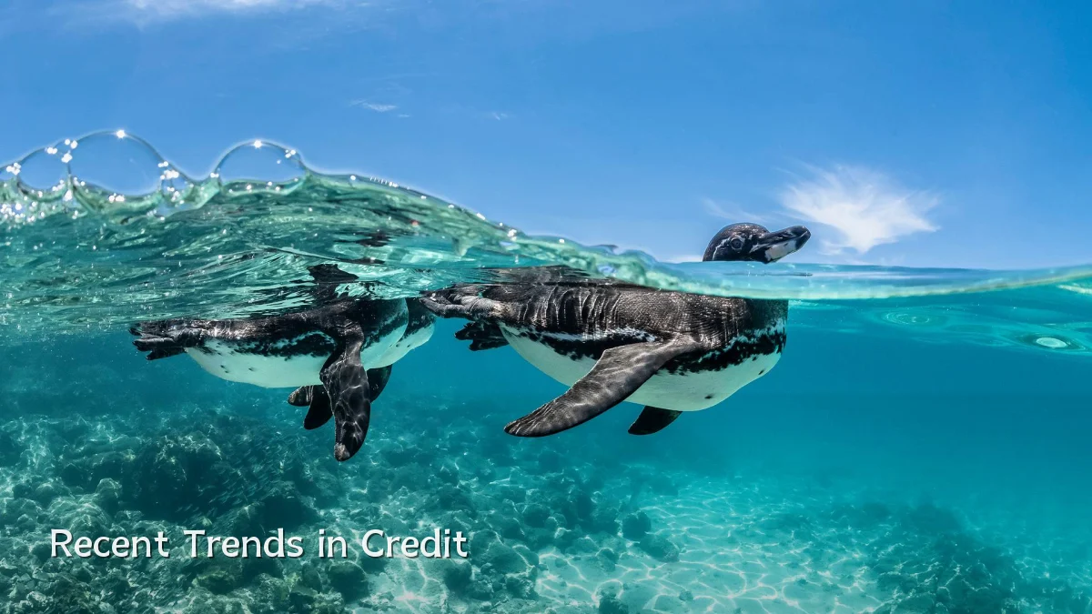 Recent Trends in Credit
