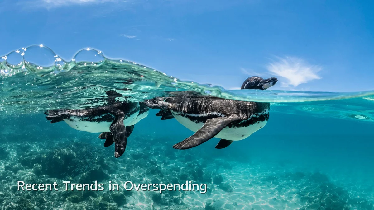 Recent Trends in Overspending