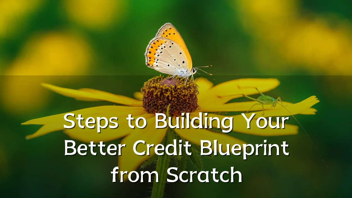 Steps to Building Your Better Credit Blueprint from Scratch