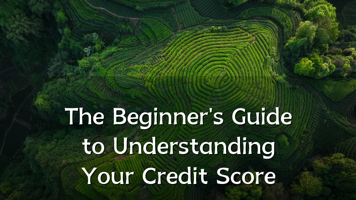 The Beginner's Guide to Understanding Your Credit Score