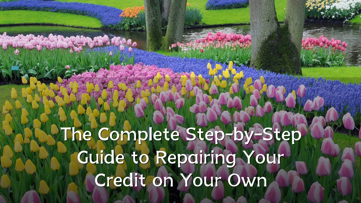 The Complete Step-by-Step Guide to Repairing Your Credit on Your Own