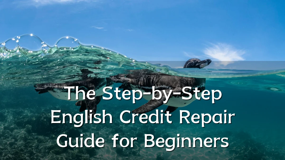 The Step-by-Step English Credit Repair Guide for Beginners