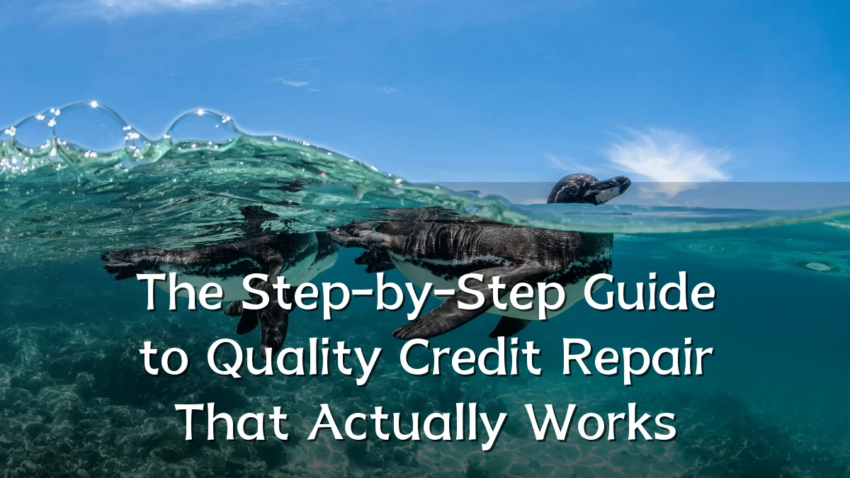 The Step-by-Step Guide to Quality Credit Repair That Actually Works