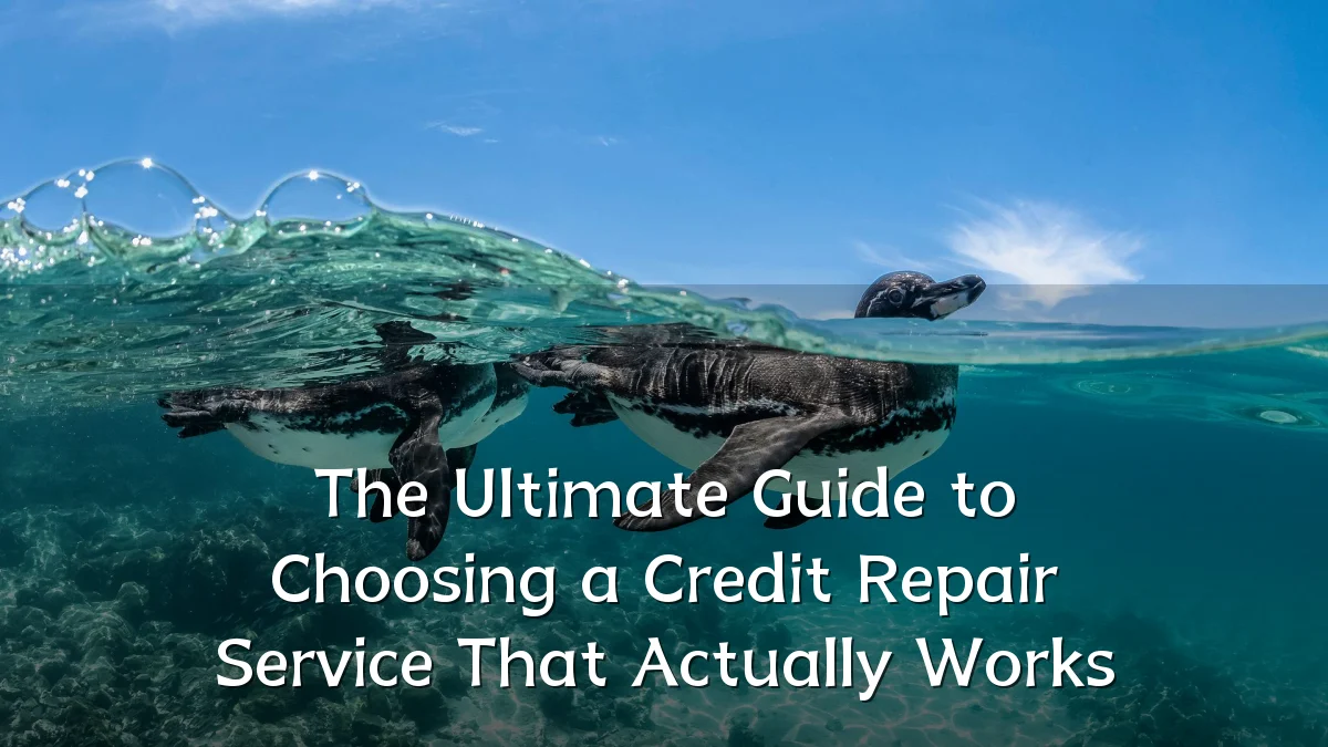 The Ultimate Guide to Choosing a Credit Repair Service That Actually Works
