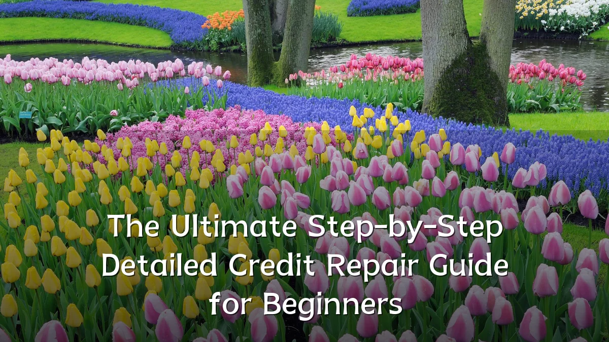 The Ultimate Step-by-Step Detailed Credit Repair Guide for Beginners