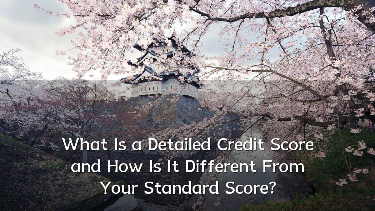 What Is a Detailed Credit Score and How Is It Different From Your Standard Score?