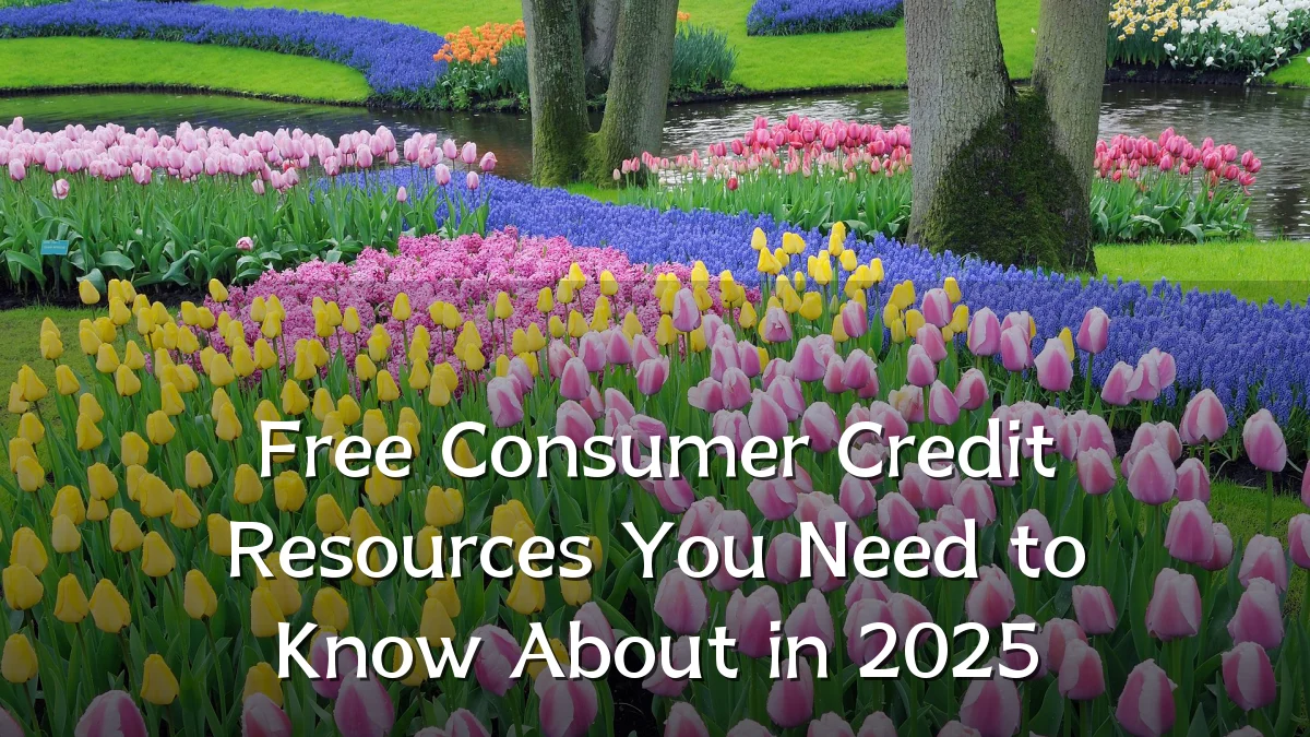 Free Consumer Credit Resources You Need to Know About in 2025