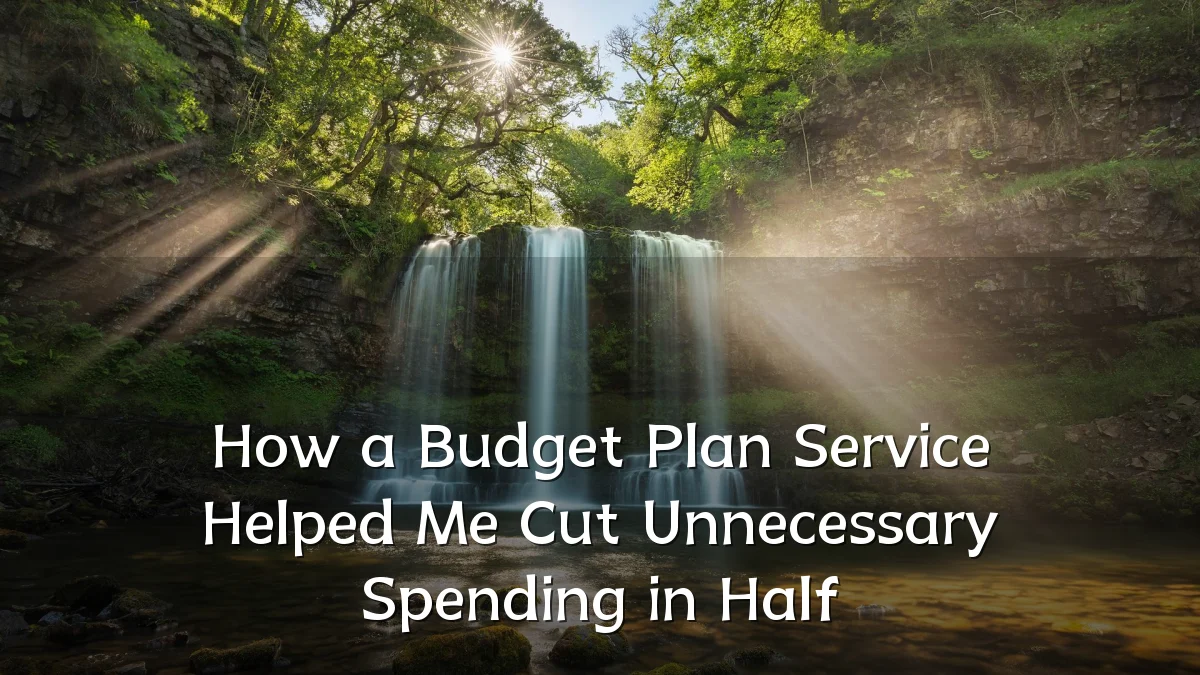 How a Budget Plan Service Helped Me Cut Unnecessary Spending in Half