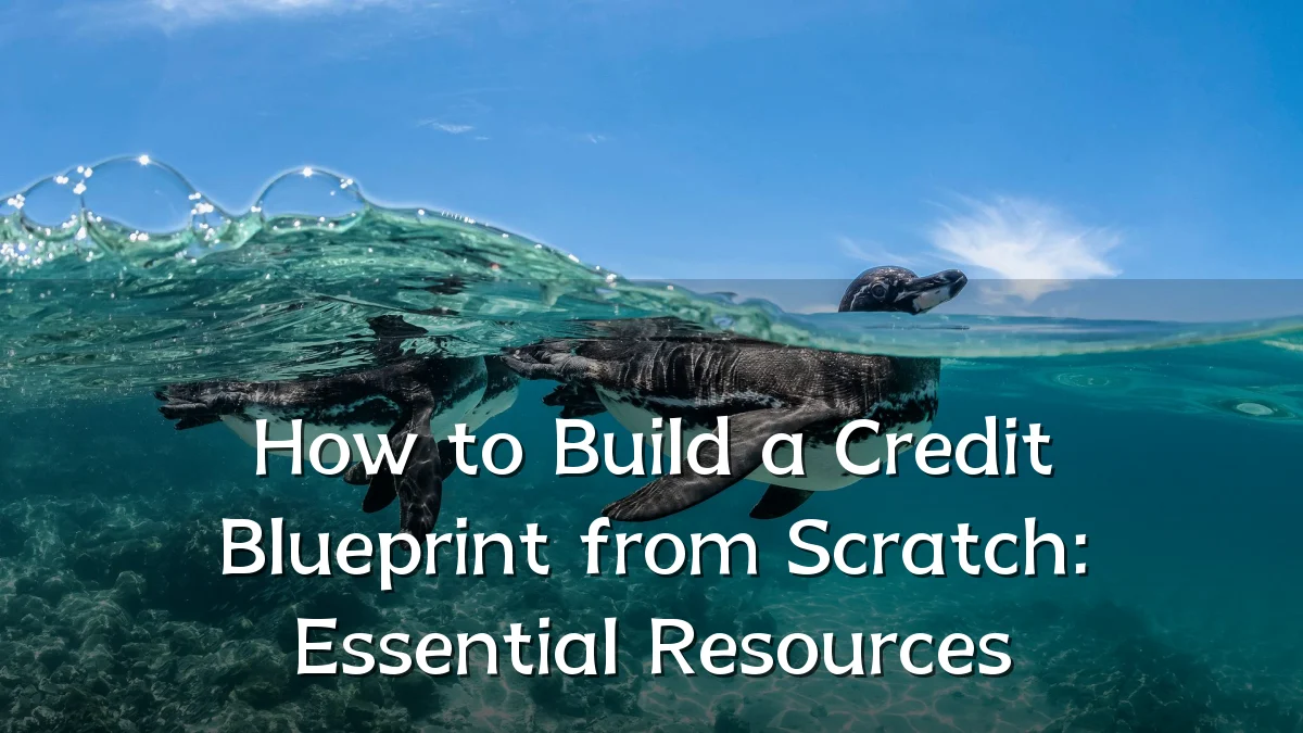 How to Build a Credit Blueprint from Scratch: Essential Resources