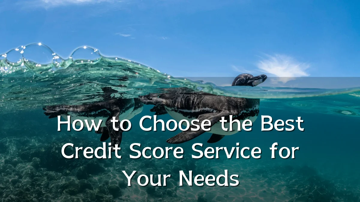 How to Choose the Best Credit Score Service for Your Needs