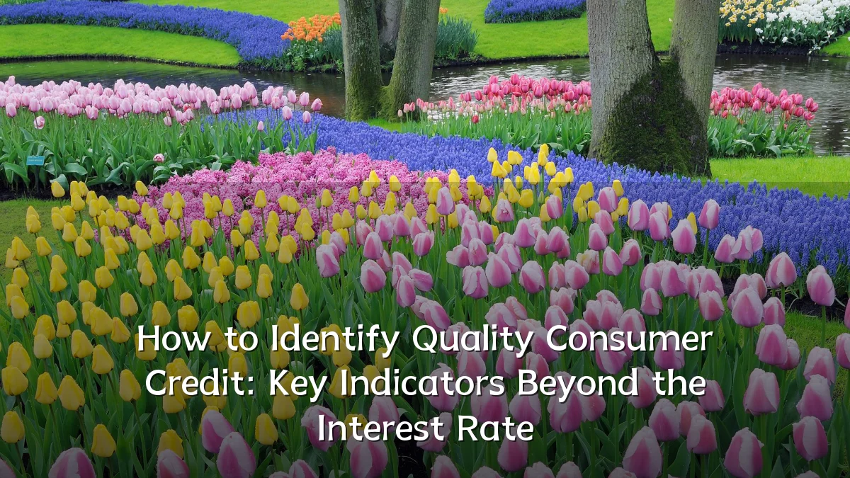 How to Identify Quality Consumer Credit: Key Indicators Beyond the Interest Rate