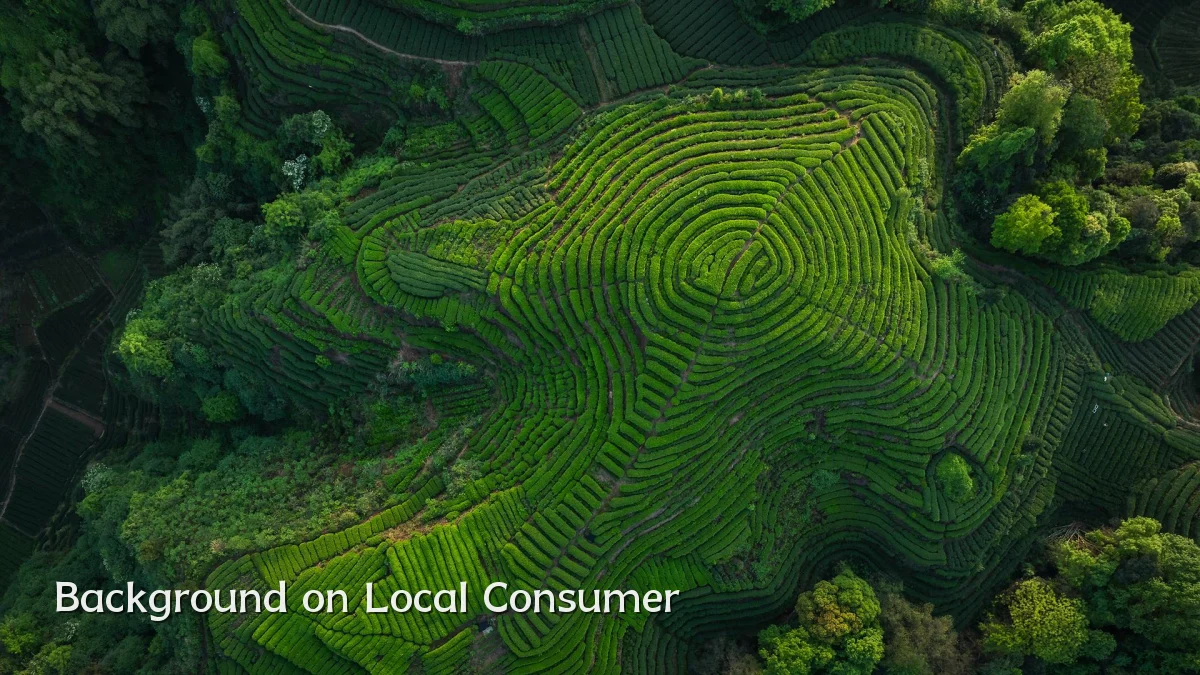 Background on Local Consumer