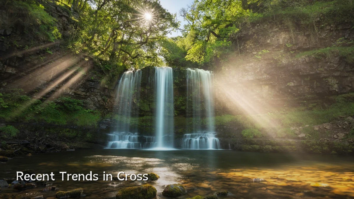 Recent Trends in Cross