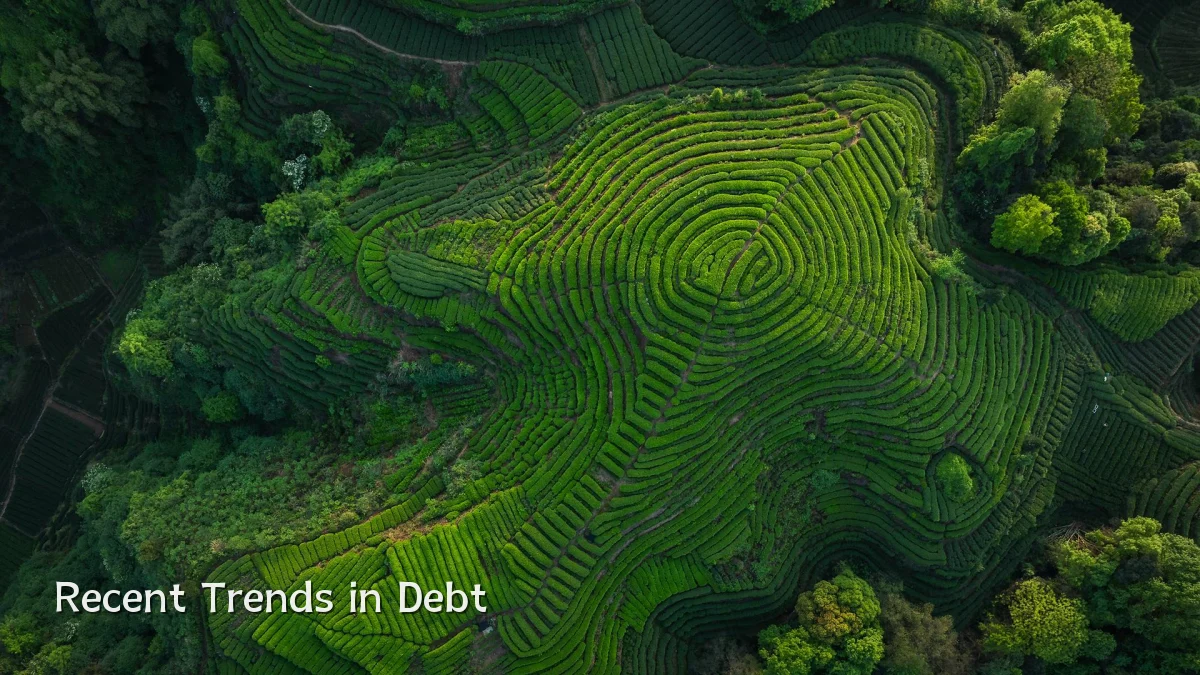 Recent Trends in Debt