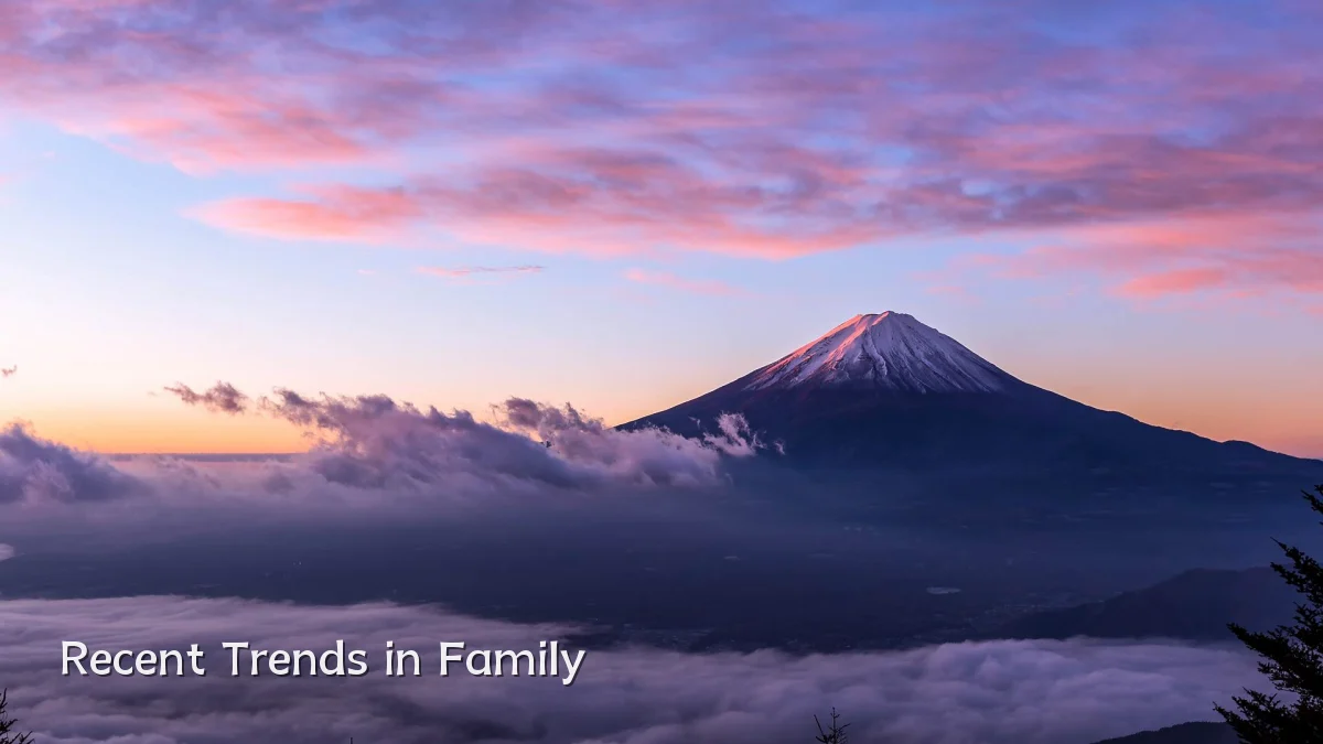 Recent Trends in Family