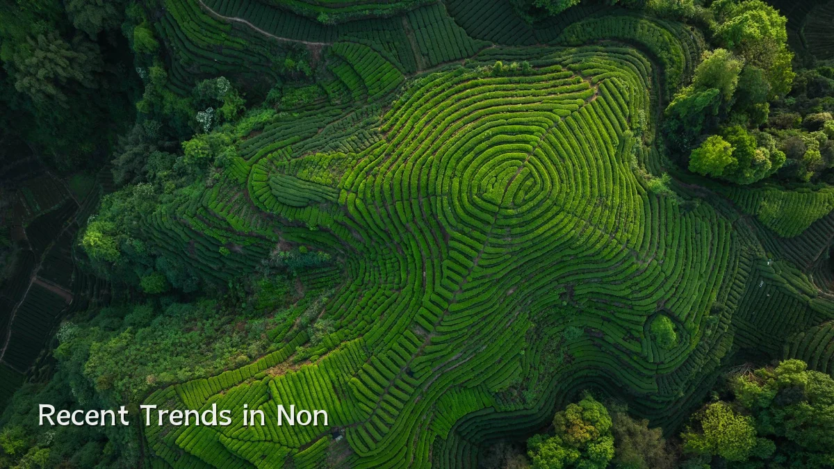 Recent Trends in Non