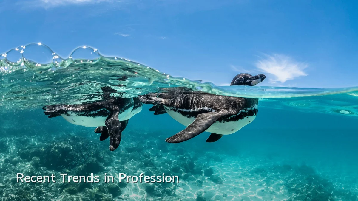 Recent Trends in Profession