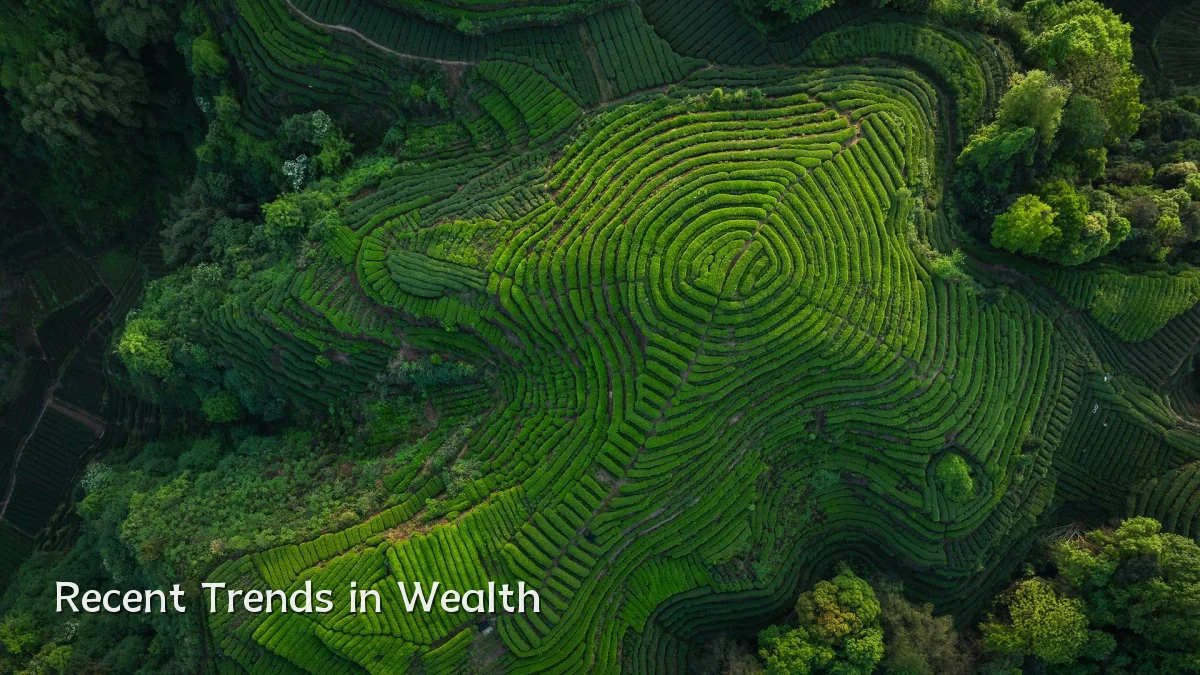 Recent Trends in Wealth