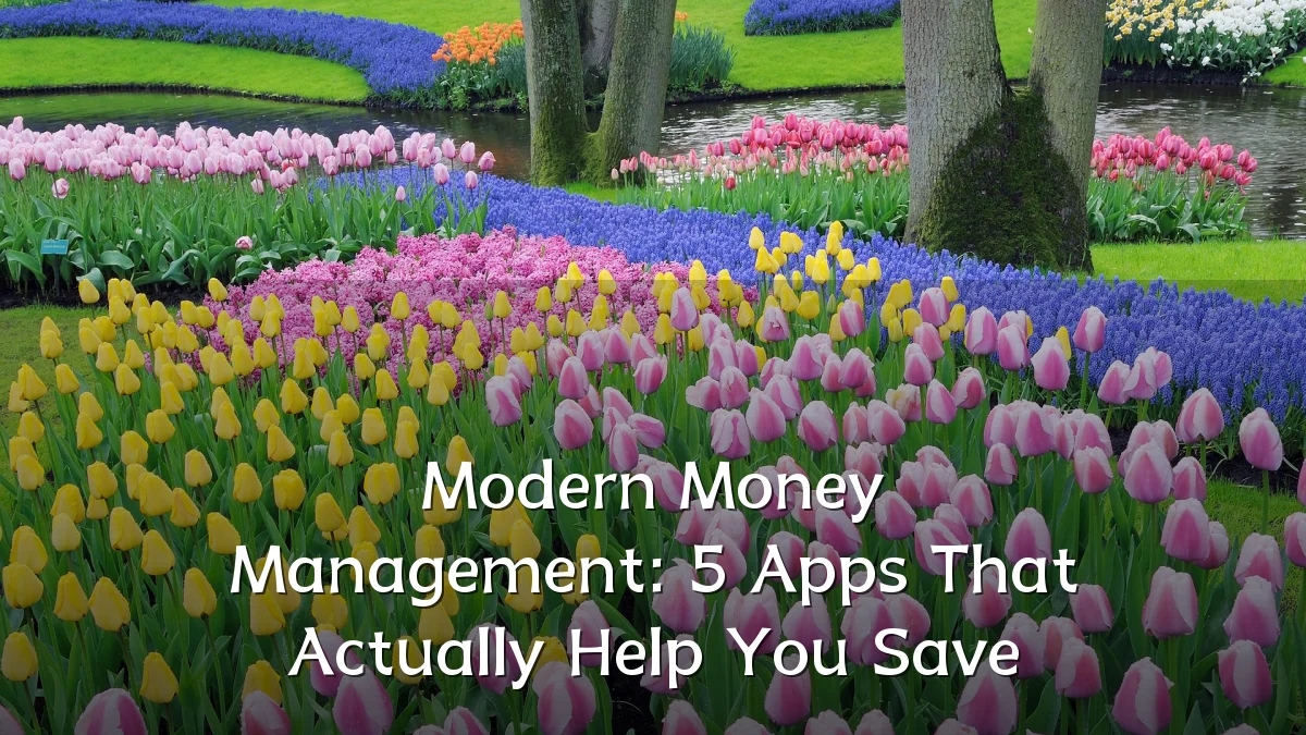 Modern Money Management: 5 Apps That Actually Help You Save