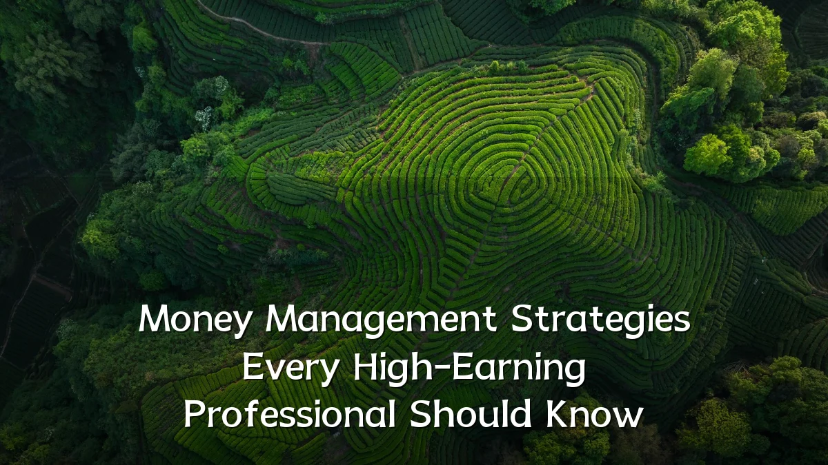 Money Management Strategies Every High-Earning Professional Should Know