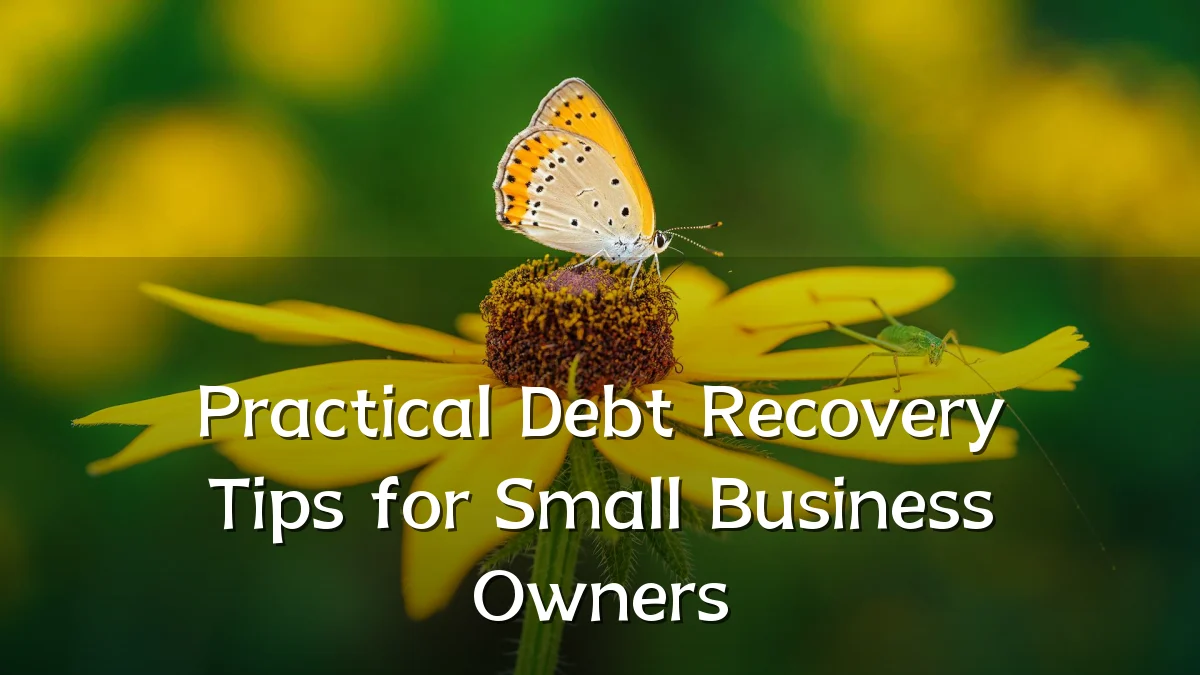 Practical Debt Recovery Tips for Small Business Owners