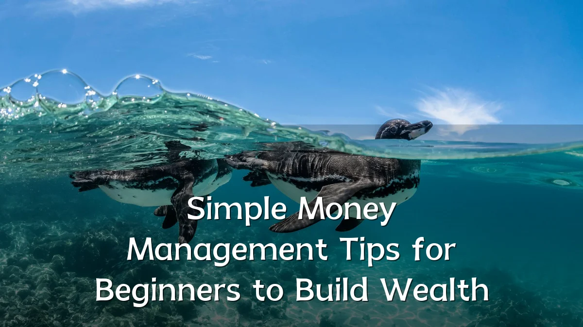 Simple Money Management Tips for Beginners to Build Wealth