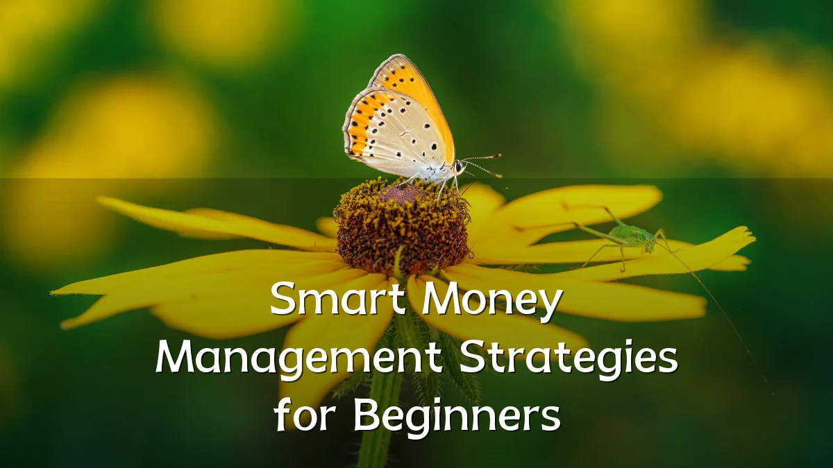 Smart Money Management Strategies for Beginners