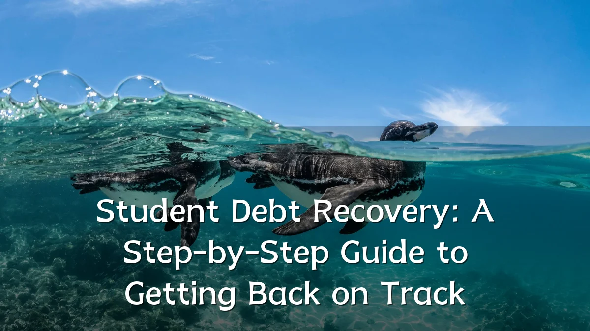 Student Debt Recovery: A Step-by-Step Guide to Getting Back on Track