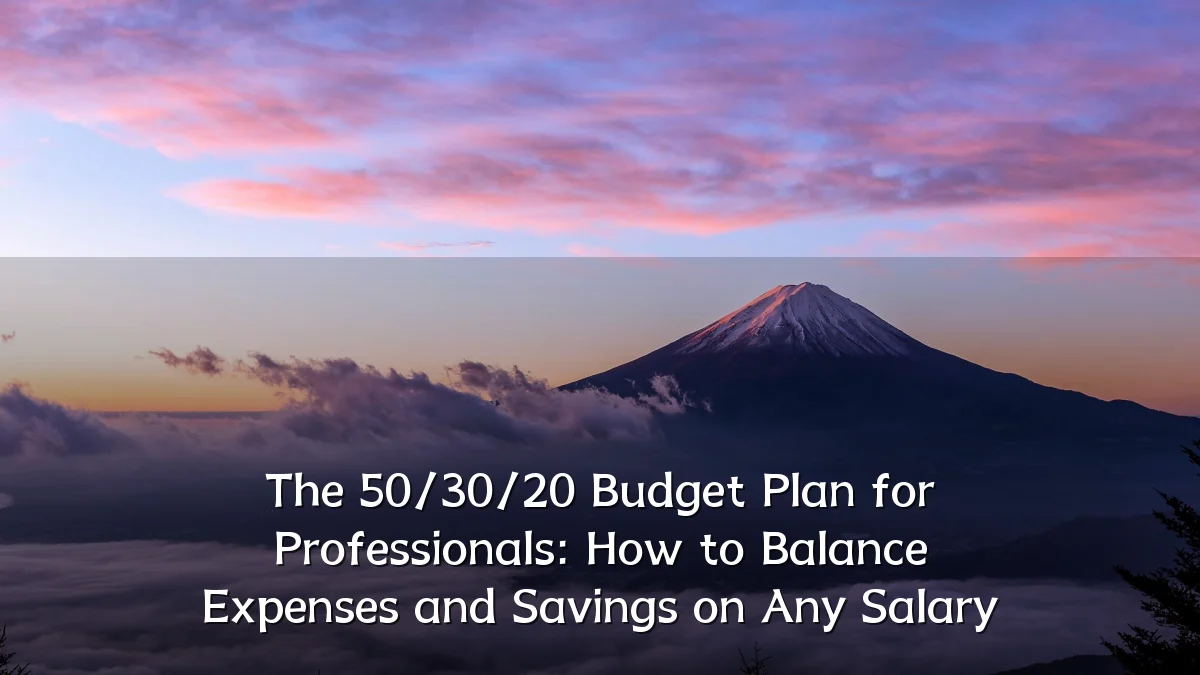 The 50/30/20 Budget Plan for Professionals: How to Balance Expenses and Savings on Any Salary
