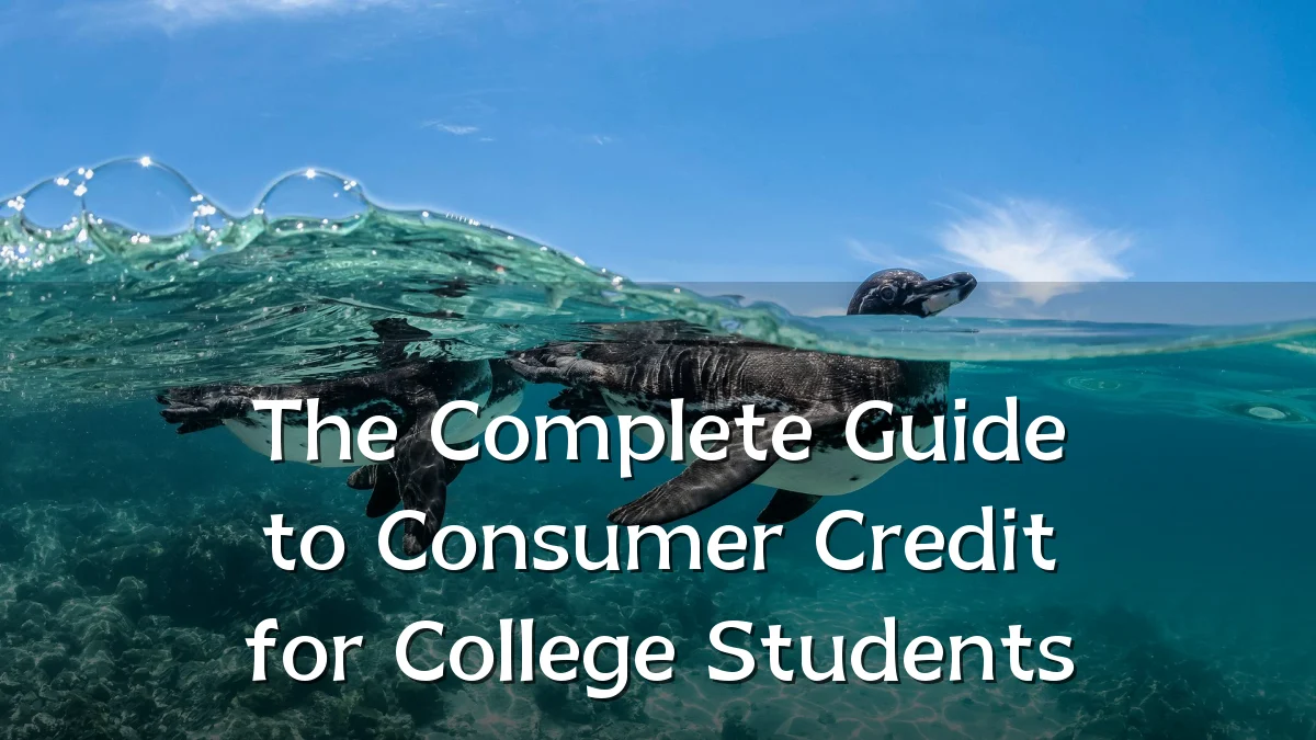 The Complete Guide to Consumer Credit for College Students