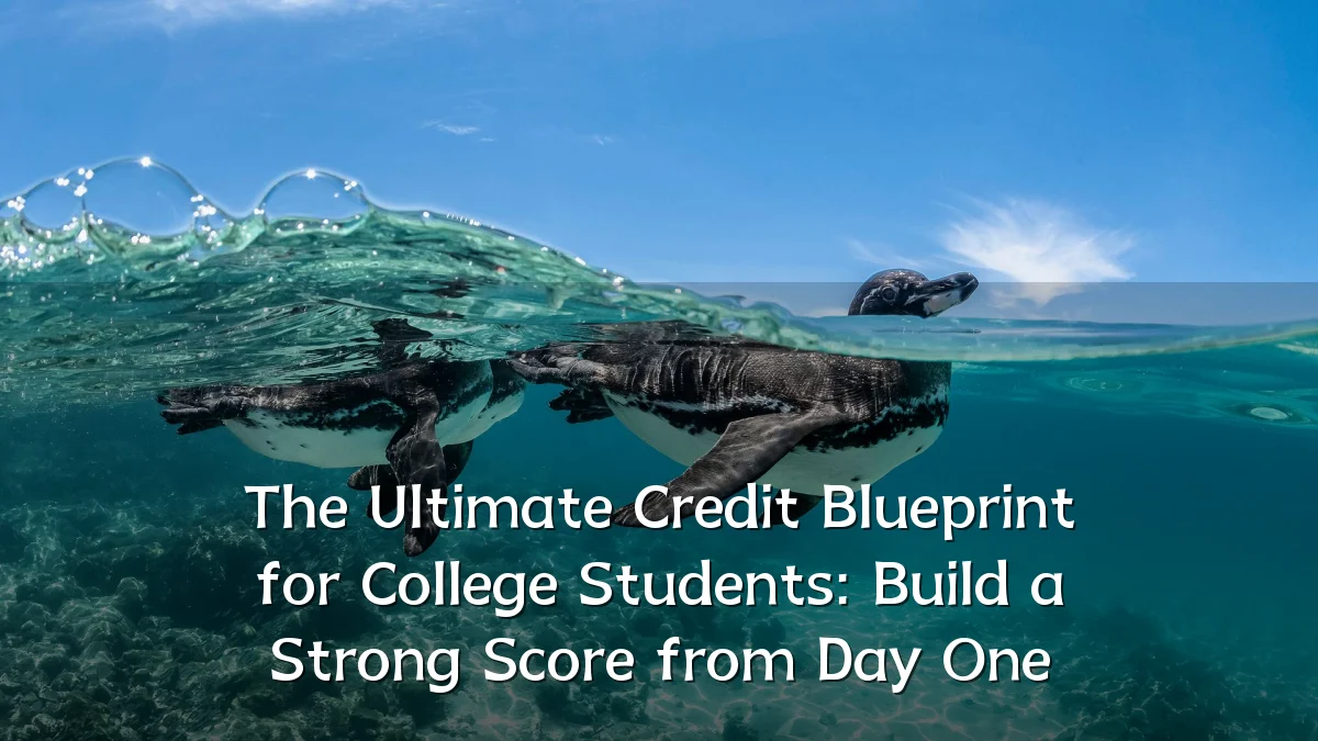 The Ultimate Credit Blueprint for College Students: Build a Strong Score from Day One