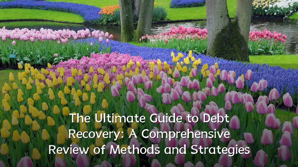 The Ultimate Guide to Debt Recovery: A Comprehensive Review of Methods and Strategies