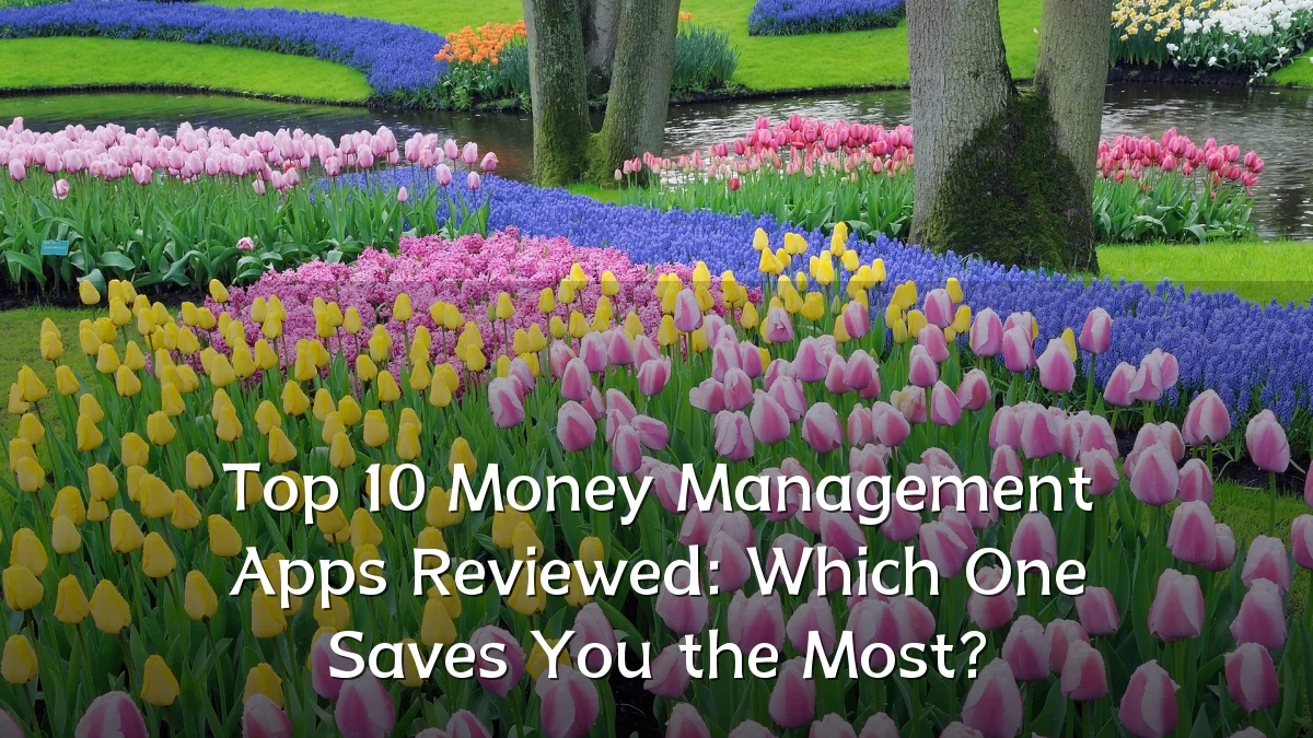 Top 10 Money Management Apps Reviewed: Which One Saves You the Most?