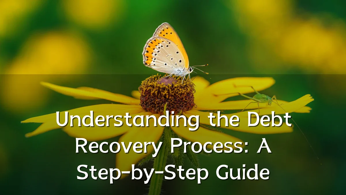 Understanding the Debt Recovery Process: A Step-by-Step Guide