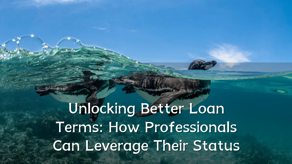 Unlocking Better Loan Terms: How Professionals Can Leverage Their Status