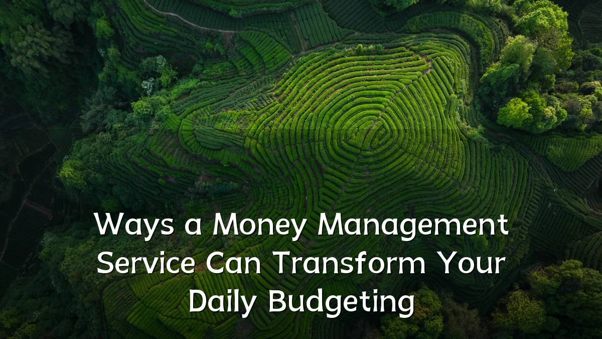 Ways a Money Management Service Can Transform Your Daily Budgeting