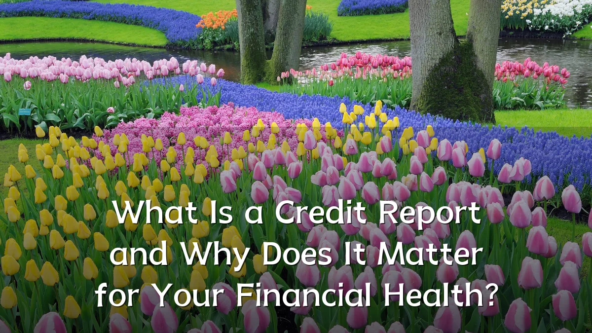 What Is a Credit Report and Why Does It Matter for Your Financial Health?