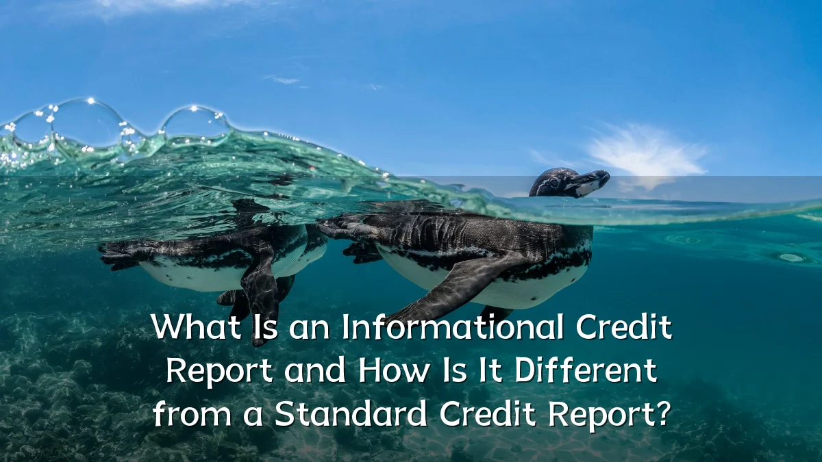 What Is an Informational Credit Report and How Is It Different from a Standard Credit Report?