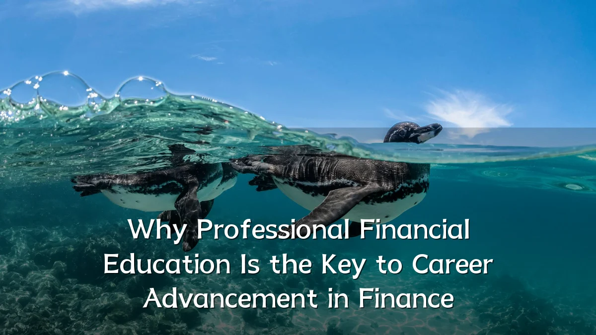Why Professional Financial Education Is the Key to Career Advancement in Finance