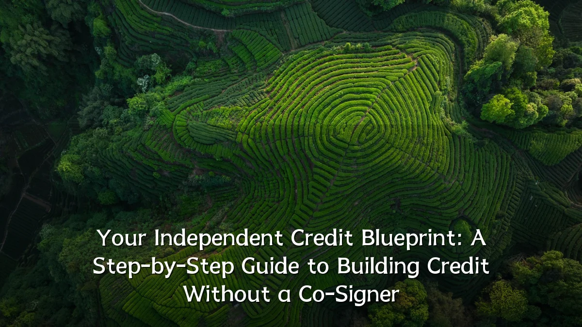 Your Independent Credit Blueprint: A Step-by-Step Guide to Building Credit Without a Co-Signer